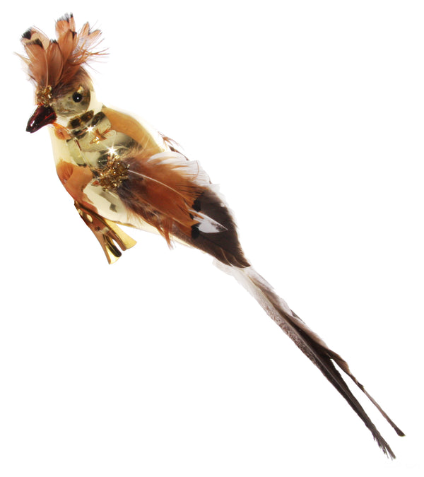 Glass bird shiny gold feather tail and crown on clip 26cm