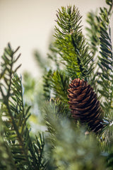30 Inch Mixed Pine Real Touch Stem w/Pinecones