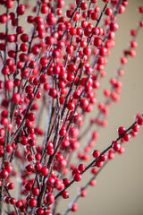 47 Inch Red Berry Branch