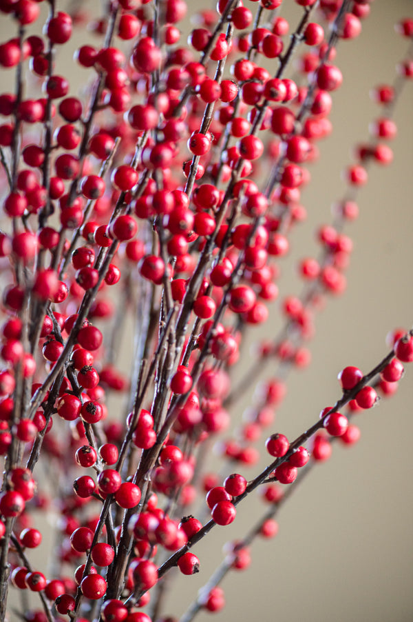 47 Inch Red Berry Branch