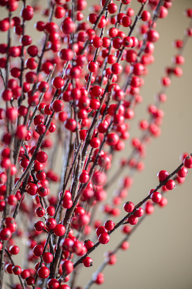 47 Inch Red Berry Branch