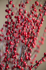 47 Inch Red Berry Branch