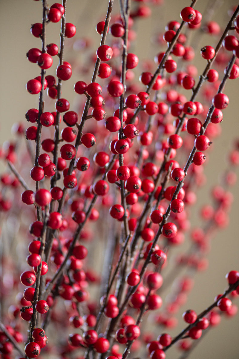 47 Inch Red Berry Branch