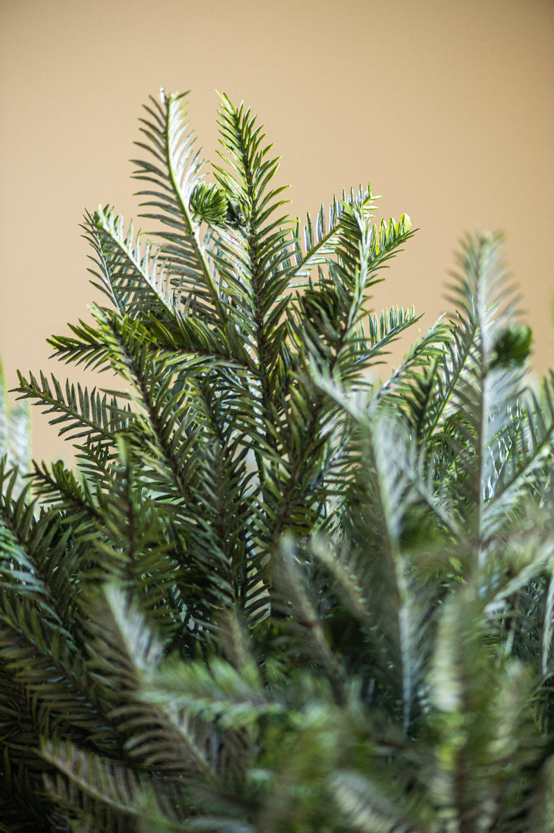 30 Inch Real Touch Pine Stem w/Pods