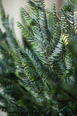 30 Inch Real Touch Pine Stem w/Pods