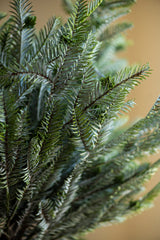 30 Inch Real Touch Pine Stem w/Pods