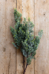33 Inch Glittered Cedar Branch