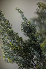 33 Inch Glittered Cedar Branch