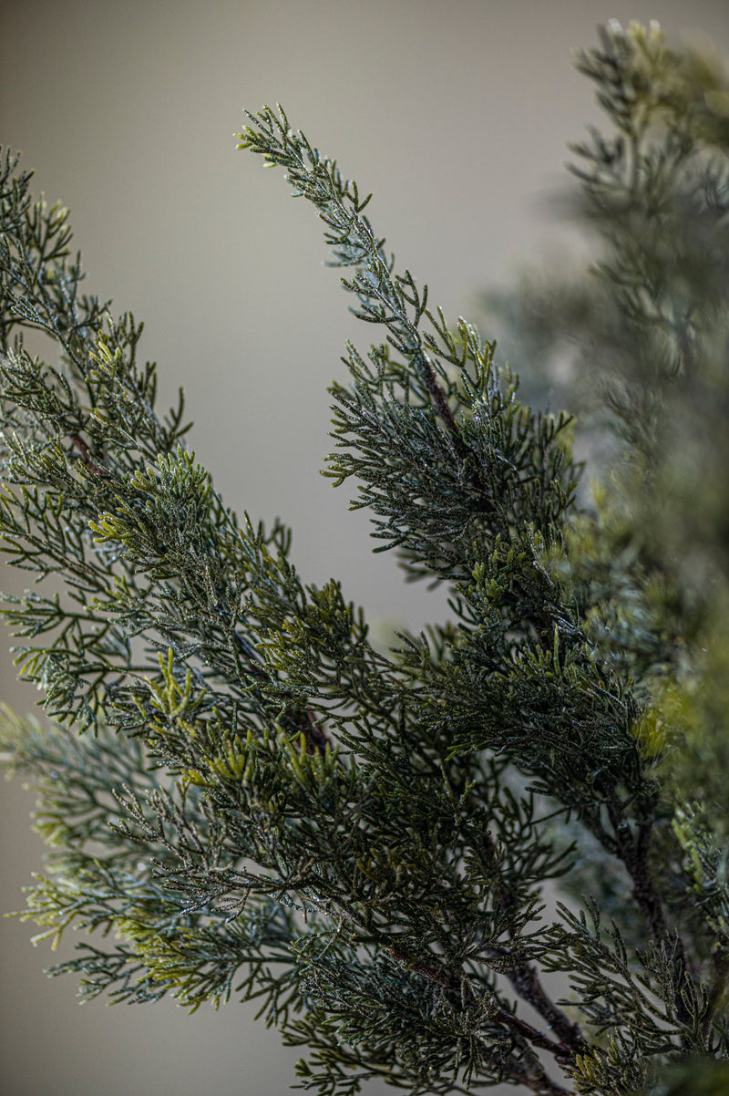 33 Inch Glittered Cedar Branch