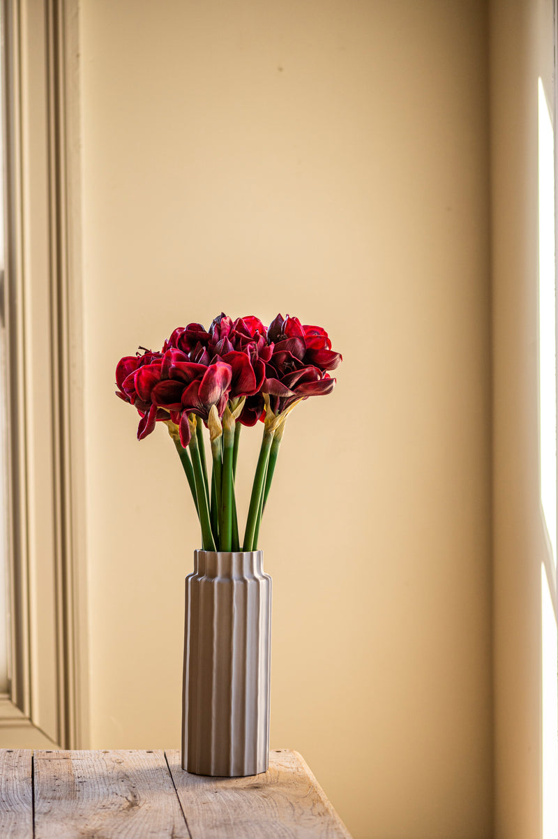 28 Inch Real Touch Burgundy Amaryllis Stem