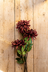 28 Inch Real Touch Burgundy Amaryllis Stem