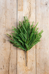 19 Inch Real Touch Norfolk Pine Stem