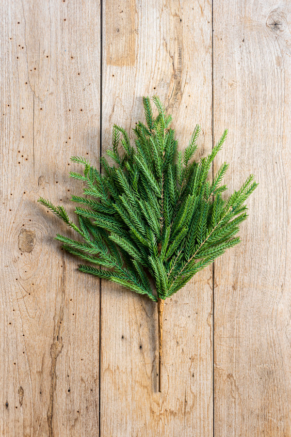 19 Inch Real Touch Norfolk Pine Stem