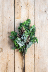 22 Inch Mixed Pine Bundle & Pinecones (8 Stems)