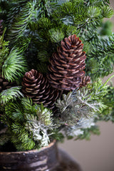 22 Inch Mixed Pine Bundle & Pinecones (8 Stems)