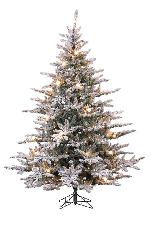 7.5' ACACIA FIR NATURAL TREE, FLOCKED, EASY-LIT POLE, PRE-LIT W/500 CLEAR & 38 G40 LIGHTS, 1,428 TIPS, 62" DIAMETER,