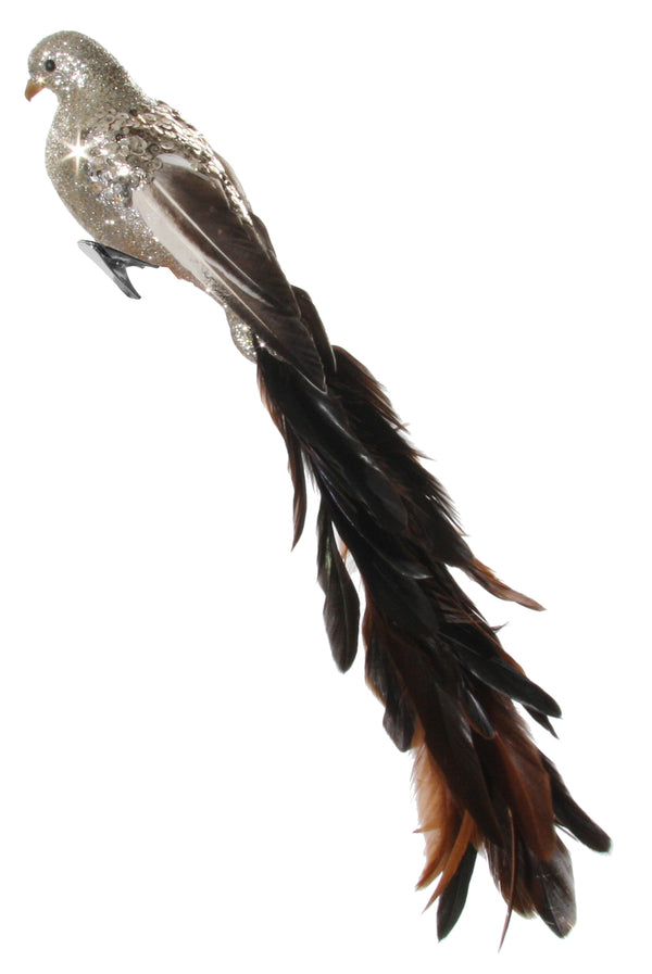 Feather bird champagne glitter brown tail 40cm