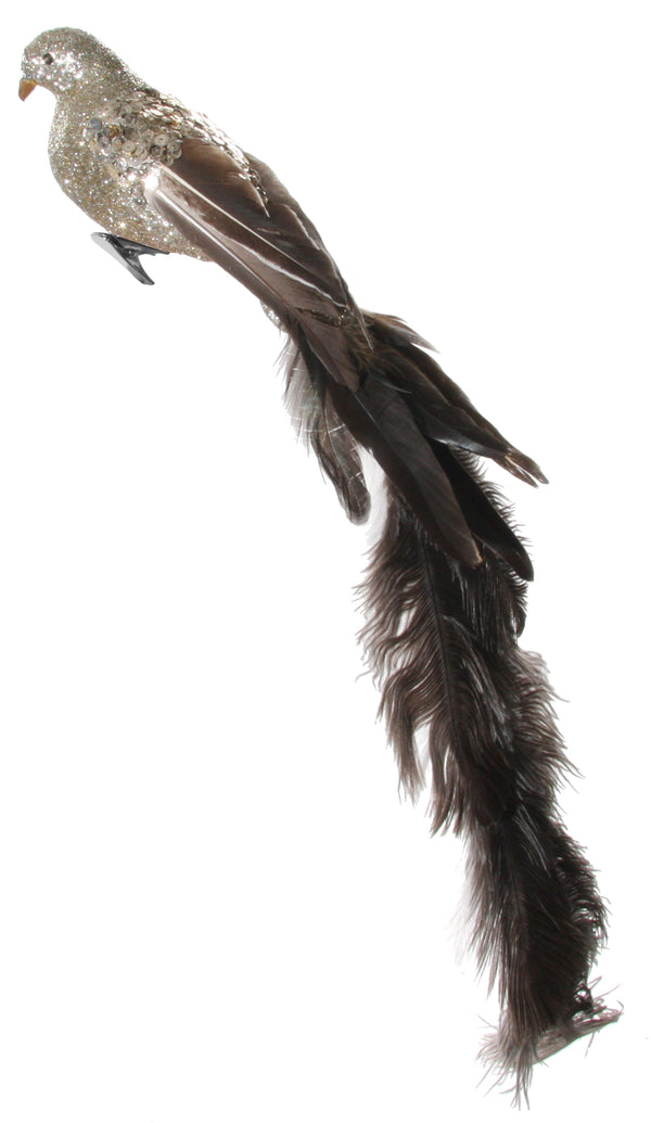 Feather bird champagne glitter brown tail 54cm