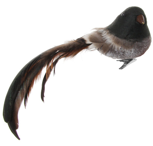 Feather bird grey velvet body brown tail