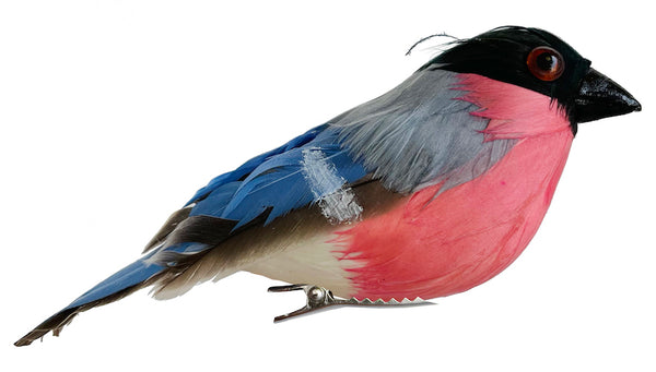 Feather bullfinch blue, pink with clip 1