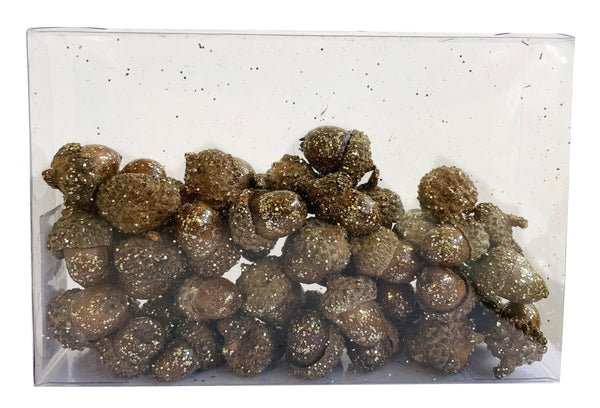 Acorn natural glitter in PVC box 45pcs 1
