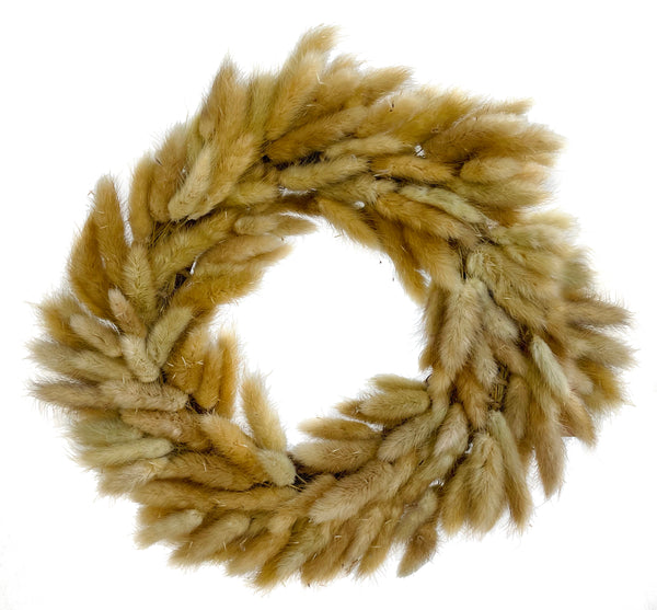 Lagurus wreath d30cm