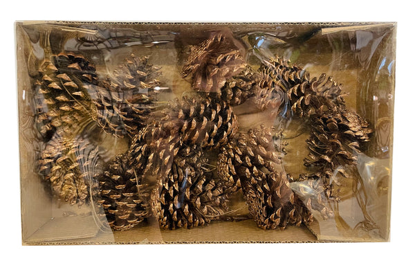 Cedar cones gold with hanger 12 in box