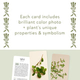 Botanicals Deck