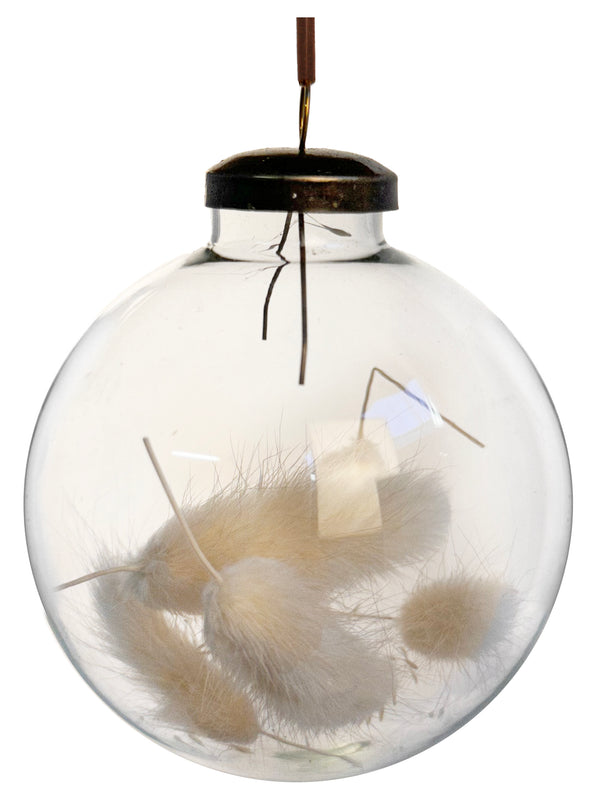 Glass ball clear Lagurus bleached inside