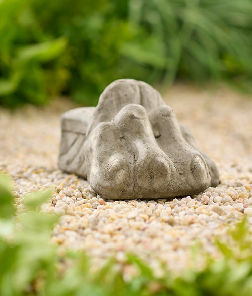 Large Lion Paw Riser