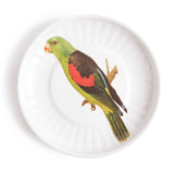 Parrot Small Paper Plates Melamine