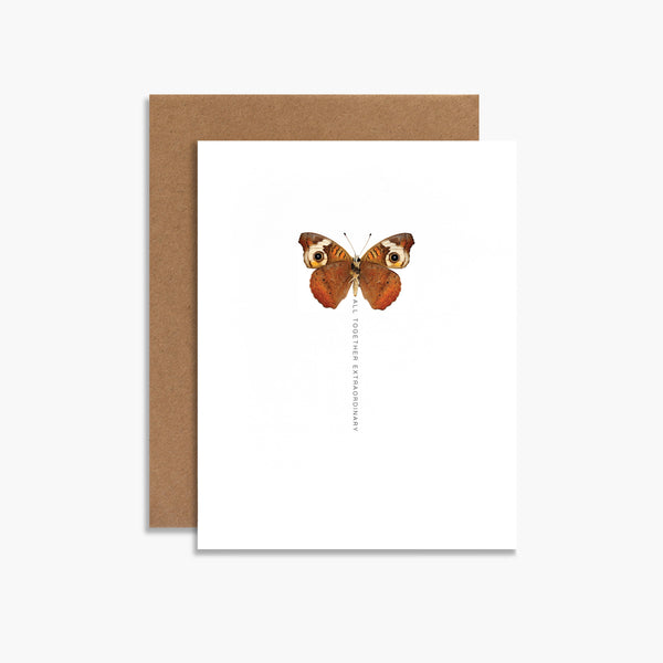 All Together Extraordinary Butterfly Greeting Card