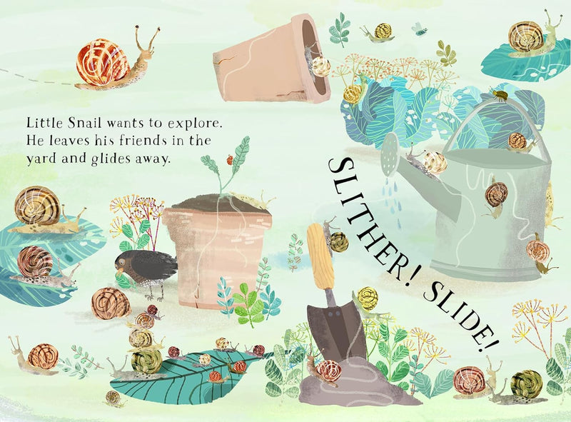 Little Snail's Book of Bugs