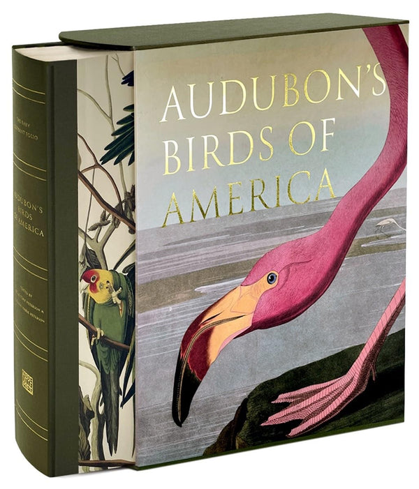 Audubon's Birds of America