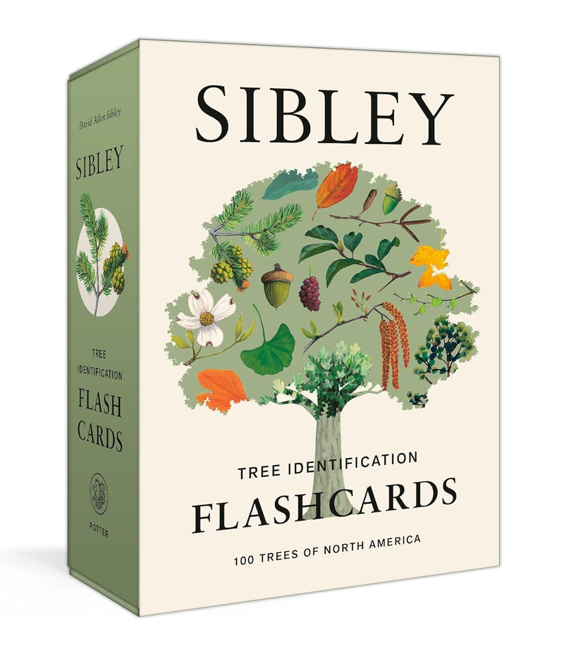 SIBLEY TREE ID FLASHCARDS-RH