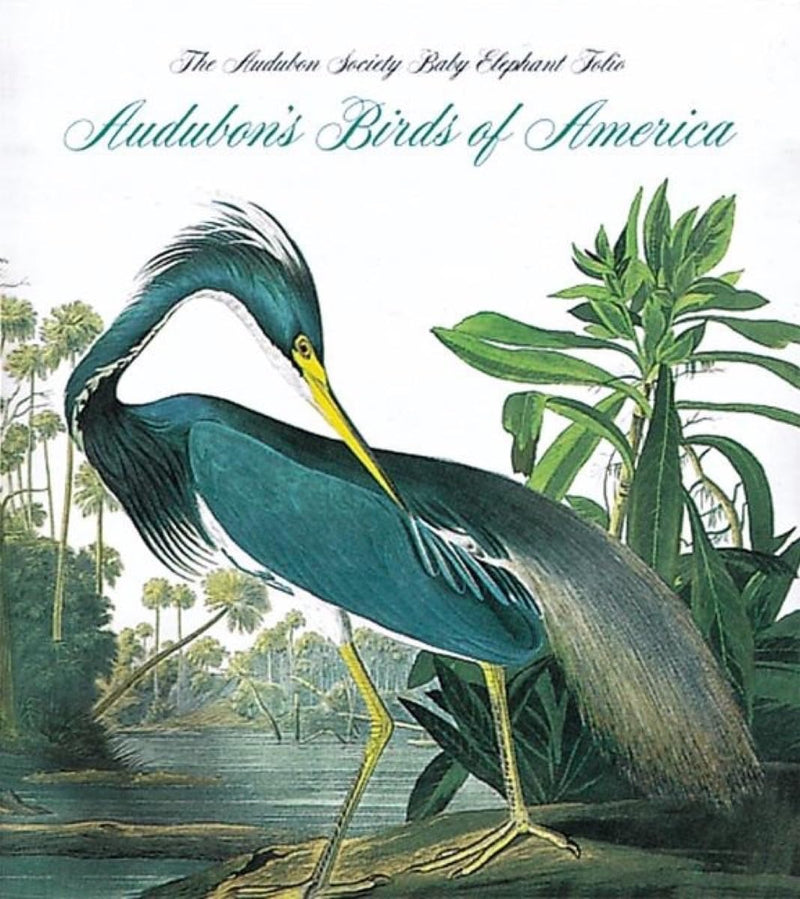 Audubon's Birds of America