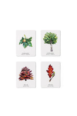 Match a Leaf