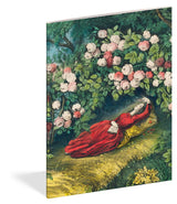 John Derian Paper Goods: Everything Roses Notebooks FORMAT: Paperback