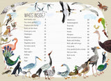 The Big Book of Birds