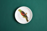 Parrot Small Paper Plates Melamine