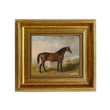A Bay Hunter Framed Oil Painting Print on Canvas