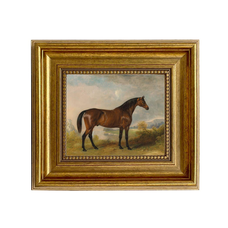 A Bay Hunter Framed Oil Painting Print on Canvas