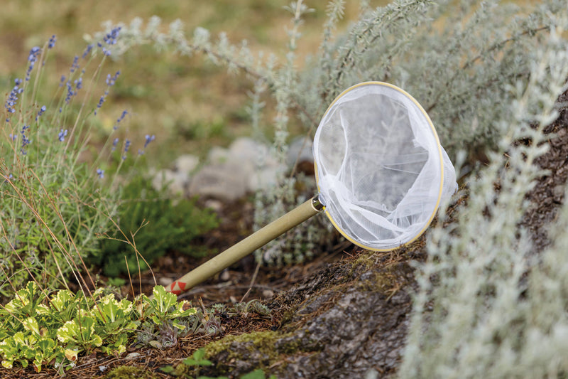 Beetle & Bee Butterfly Net - FSC Certified-Outdoor Play