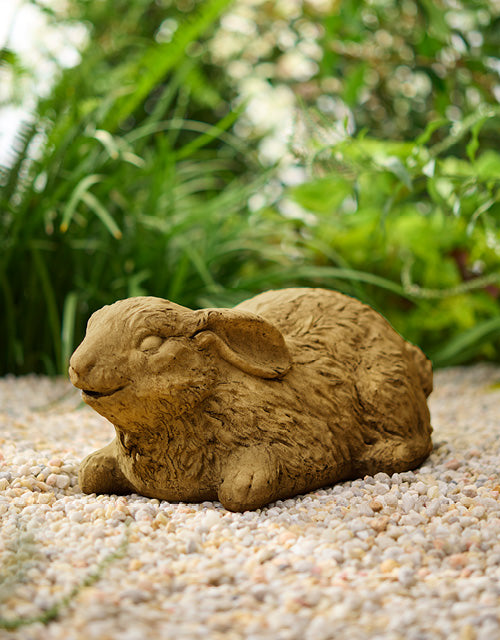 Companion Bunny