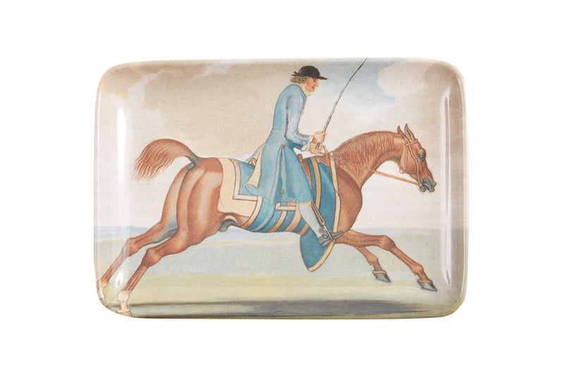 Equine Trays