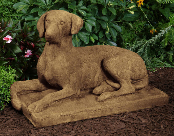 Hound on Base
