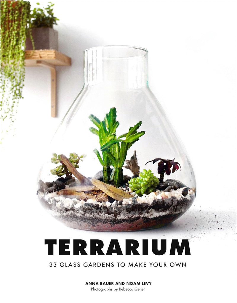 Terrarium hc