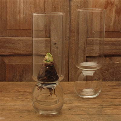 Bulb Vase Extra Tall - Clear