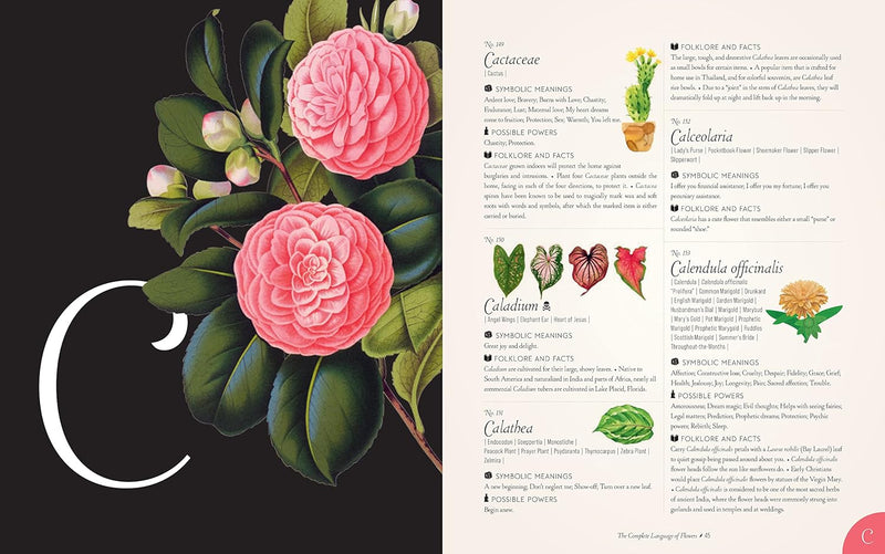 The Complete Language of Flowers