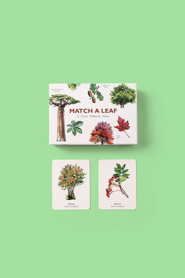 Match a Leaf